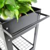Aveyas Mobile Metal Raised Garden Bed Cart with Legs; Elevated Tall Planter Box with Wheels for Outdoor Indoors House Patio Backyard Vegetables Tomato