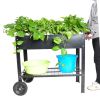 Aveyas Mobile Metal Raised Garden Bed Cart with Legs; Elevated Tall Planter Box with Wheels for Outdoor Indoors House Patio Backyard Vegetables Tomato